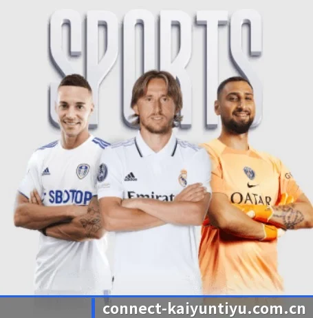 开云登录 APP 界面 | kaiyun